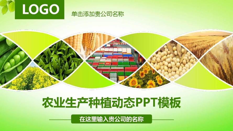 农业生产种植动态