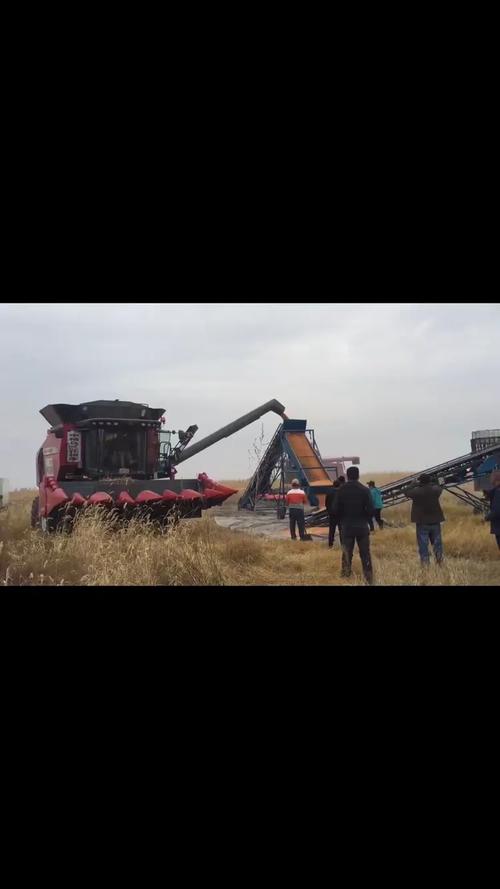 中阳农业公司带茬免耕播种科学种植密植产品保墒抓苗效果好