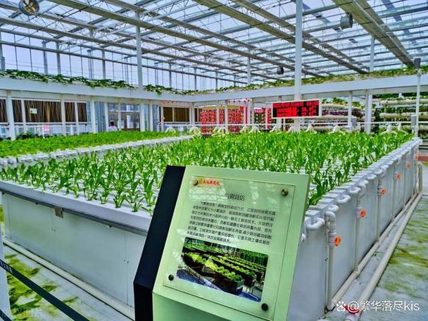 农业种植概念深度分析:黑芝麻,农发种业,广宇集团,万向德农