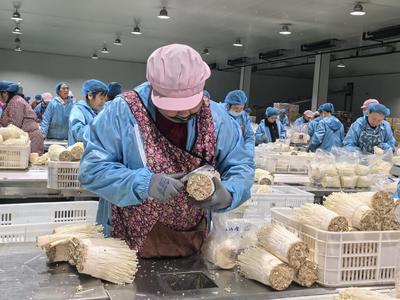 义安:以更优营商环境助力企业健康发展_中安在线