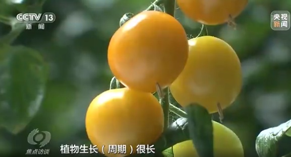 焦点访谈丨"大食物观"让百姓餐桌更丰富